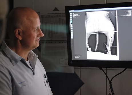 műszeres képet néz az orvos