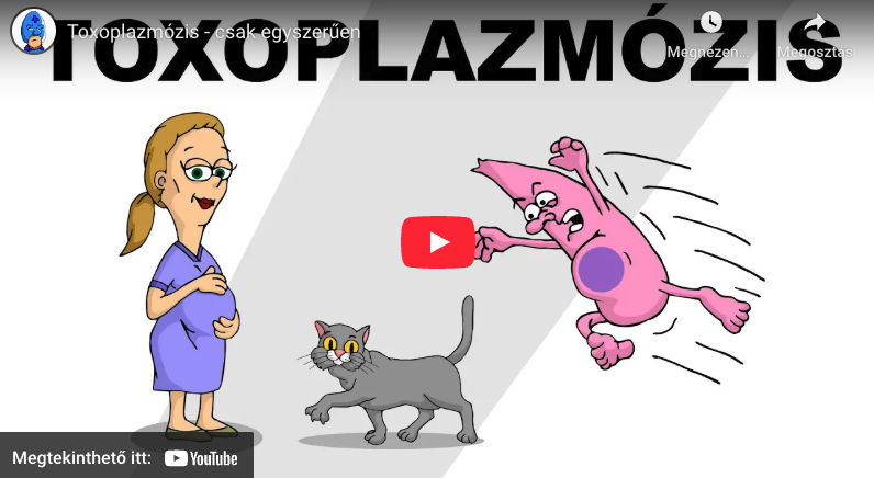 blog_toxoplazmózis