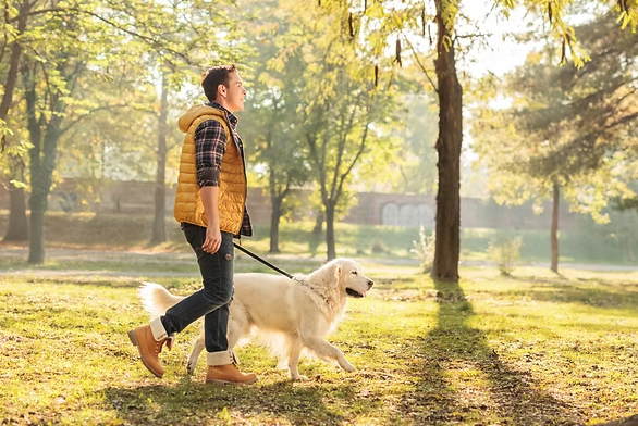 blog_kutyasétáltatása