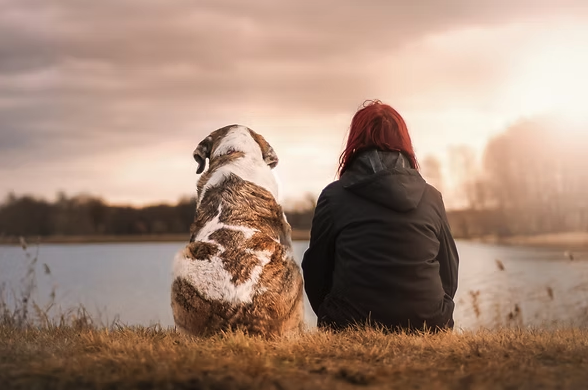 a kutya mint legjobb barát