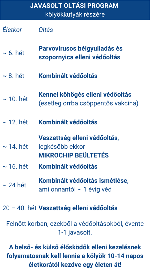 JAVASOLT OLTÁSI PROGRAM kölyökkutyák részére